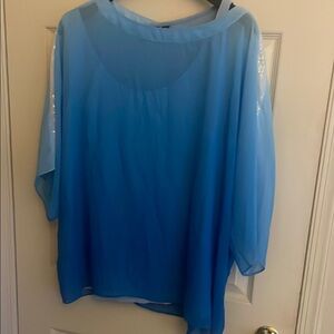 Susan Graver Sheer Blue Blouse